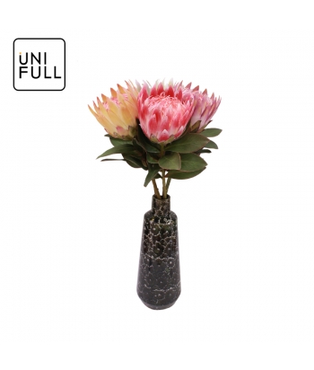 UNIFULL Protea