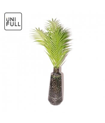 UNIFULL 5 palm trees